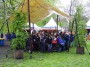Thumbs/tn_Bevrijdingspop Haarlem 009.jpg